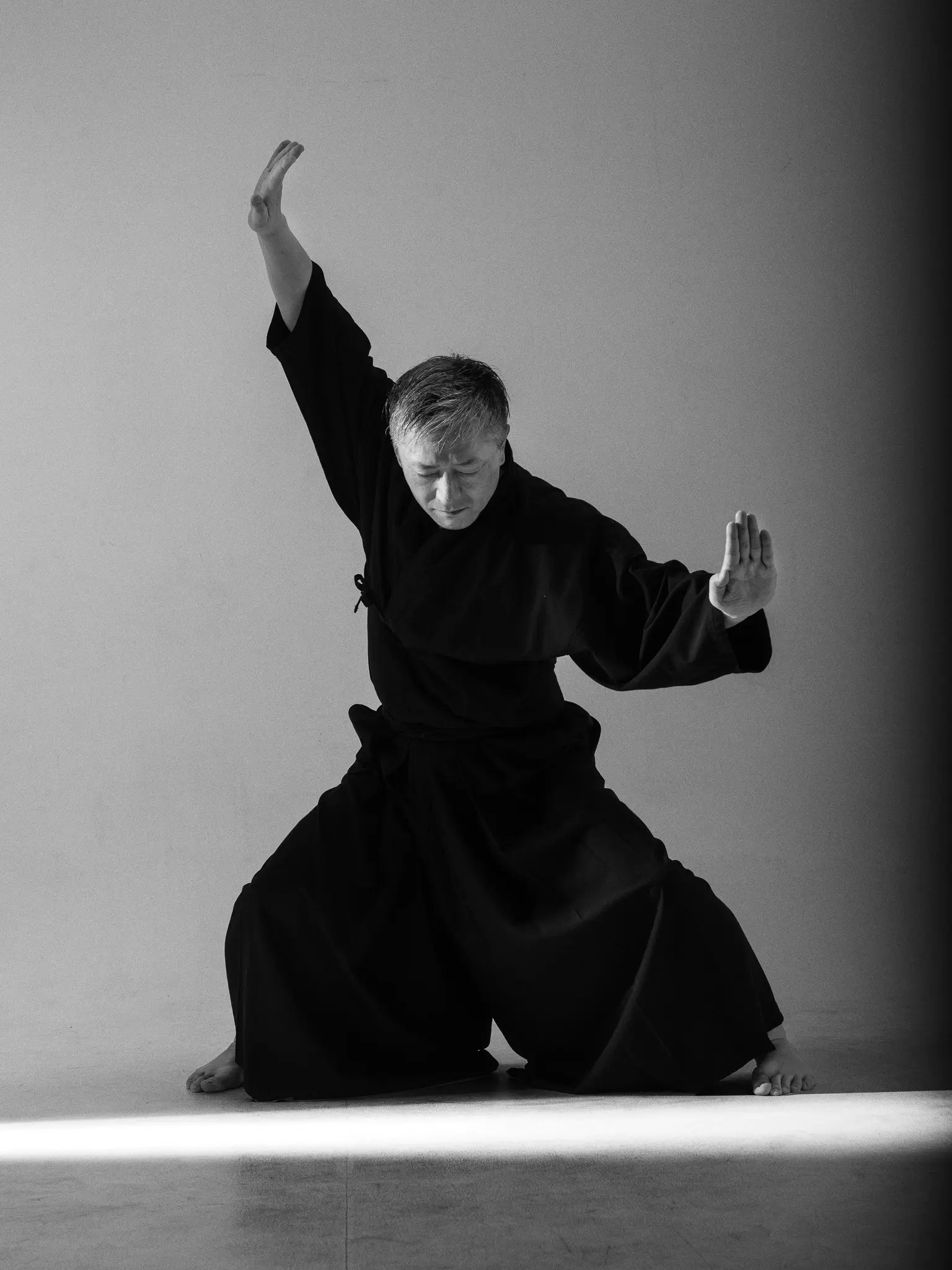 Seishindo Dojo Lead